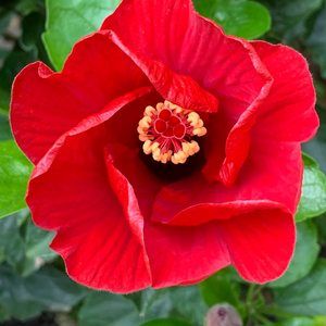 Meet your Posher, Dawn